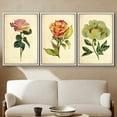 thumbnail image 1 of PixonSign Framed Wall Art Print Set Vintage Watercolor Rose & Peony Variety Floral Wilderness Illustrations Modern Art Glam Colorful Multicolor Cool for Living Room, Bedroom, Office - 16"x24"x3 White, 1 of 5