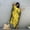Jaune, variante sur goowrom Robe de Plage Décontractée pour Femmes, Robe une Pièce à Manches Longues et Col en V pour l'Été et l'Automne