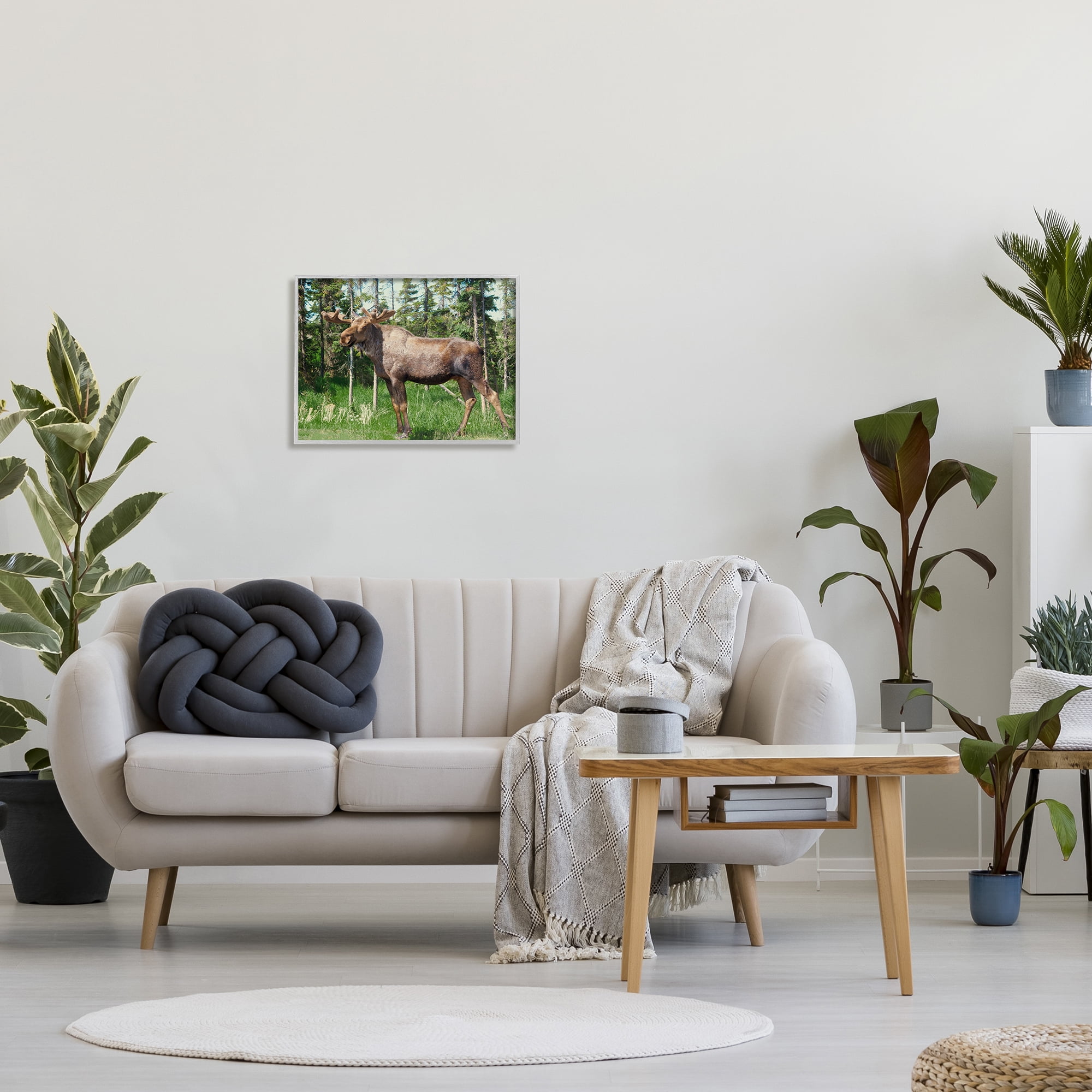 Stupell Moose Forest Grove Woodland Landscape Animals & Insects Photography Gray Framed Art Print Wall Art