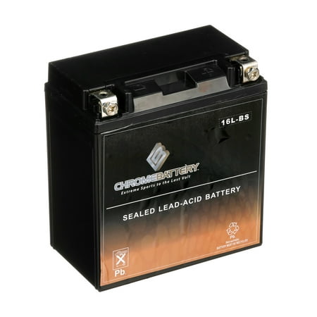 YTX16L-BS Jet Ski Battery for BRP Sea-Doo All Other Models (Best Jet Ski For Towing A Tube)
