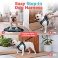 thumbnail image 3 of Voyager Step-In Air Mesh Dog Harness by Best Pet Supplies, 3 of 8