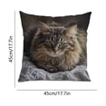 thumbnail image 2 of Cute Pet Pillow Cover 18x18 Inches, Hidden Zipper Soft Plush Pillowcase, Gift for Pet Lovers Women Ki-ds, Stress Relief Decor for Bedroom Living Room Sofa, 2 of 5