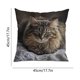 thumbnail image 3 of Uuiauoio Cat Pillow Covers 18x18, Cats Lovers Lady Gifts, Cat Gifts for Mom Mother's Day, Cats Decorative Pillow Covers for Home Bedroom Living Room Office Decor, 3 of 6