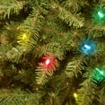 thumbnail image 4 of National Tree Company Pre-Lit Artificial Christmas Tree, Green, Dunhill Fir, Multicolor Lights, Includes Stand, 4 Feet, 4 of 4