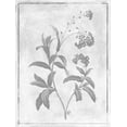 thumbnail image 2 of Grey, Jace 25x32 Gold Ornate Wood Framed with Double Matting Museum Art Print Titled - Monochrome Floral Cleaner 2, 2 of 4