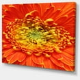 thumbnail image 2 of Beautiful Gerbera Flower In Brig - Floral Canvas Art Print, 2 of 4