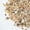 Yellow&White5lb, variant on Gaspro 5 Pound Decorative Rocks for Plant, 1/5 Inch Natural Pea Gravel for Succulent, Vase, Fish Tank, Landscape, Matte Texture, Mixed Color