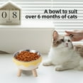 thumbnail image 6 of Elevated Cat Bowls, Raised Stainless Steel Cat Bowl with Cute Stand, 5.59in Wide Raised Food and Water Dish for Cats, Kitten, Puppies, 6 of 6