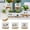 3Pcs Unique Succulents Planter Under $5 a1, variant on Fufafayo Succulents Pots Ceramic Planters, Funny Unique Fleshy Flowerpot with Tray, Indoor Desktop Bonsai Decoration for Home Office Decor, Cactus Planter for Shelf Tabletop