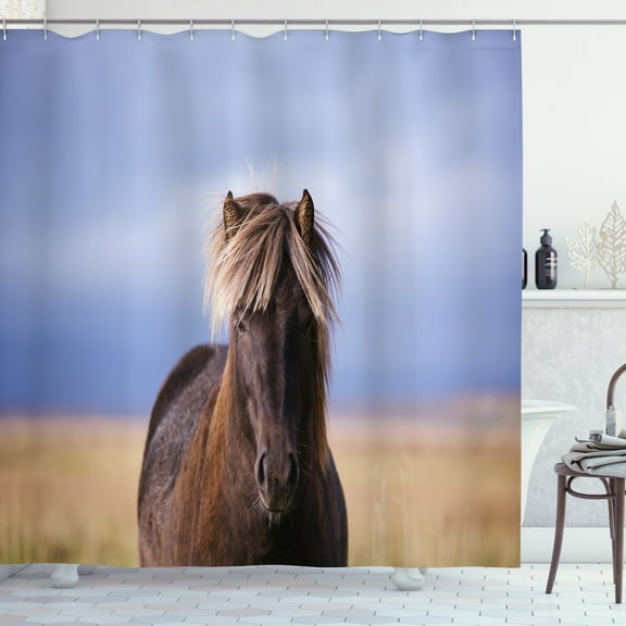 Iceland Shower Curtain, Close up Horse Silhouette on a Blurry Backdrop, Fabric Bathroom Set with Hooks, 69W X 75L Inches Long, Ceil Blue Brown Camel, by Ambesonne
