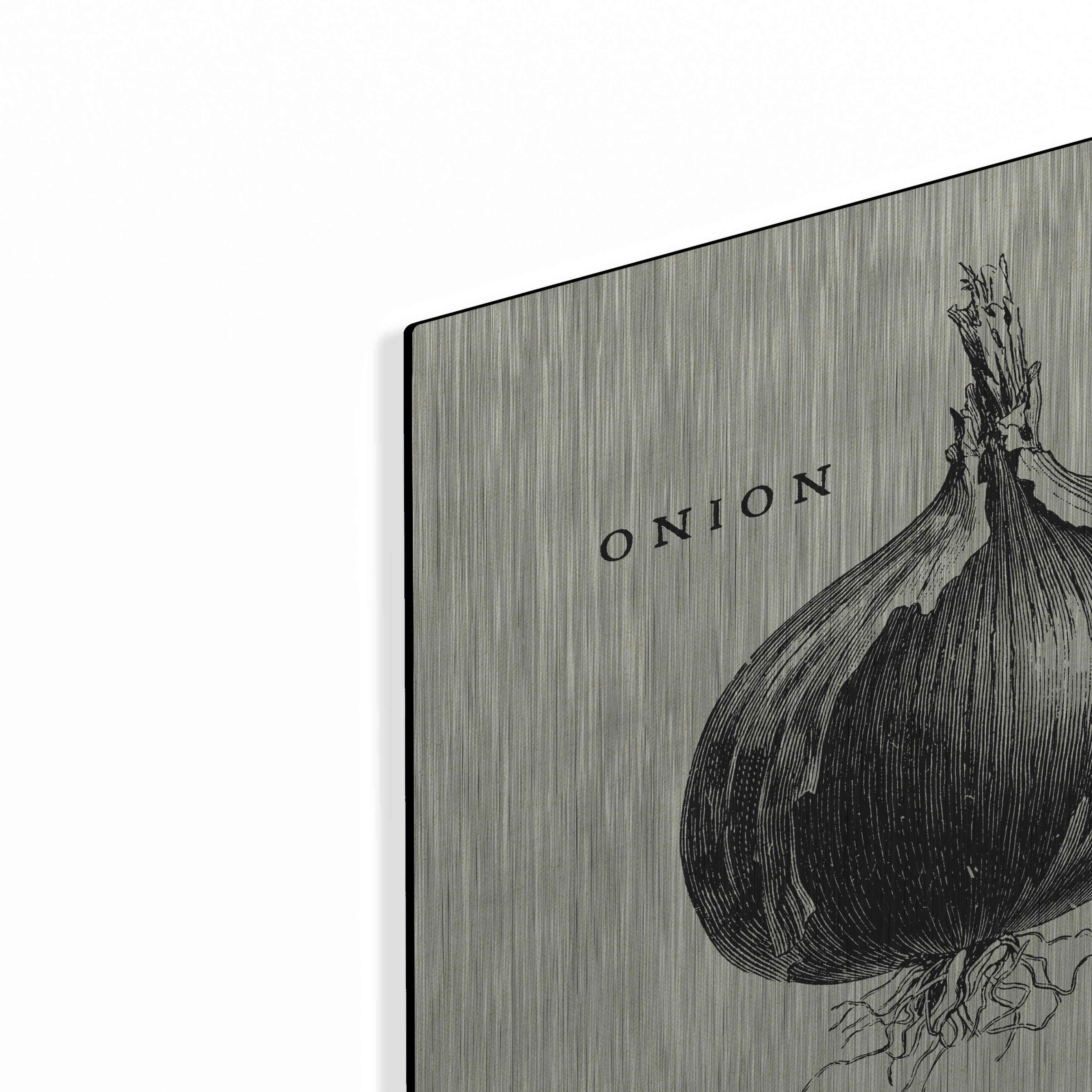 Onion, bulb illustration, drawing, engraving, line art, vegetable, vector  Stock Vector Image & Art - Alamy