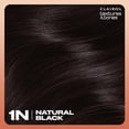 thumbnail image 2 of Clairol Professional Textures and Tones Hair Color, Natural Black, 1 Kit, 2 of 6