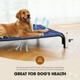 thumbnail image 3 of Cama Elevada para Perros Czpalo para Perros Grandes con Malla Refrescante, 3 of 6