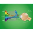 thumbnail image 3 of Premium Anti Blue Light and Anti Glare Screen Protector (2 Pack) for 24 inches Monitor with Aspect Ratio 16:9. Easy and Bubble Free Installation, 3 of 3