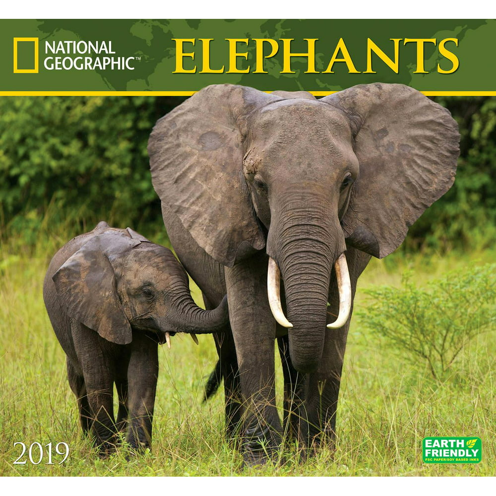 National Geographic Elephants 2019 Calendar (Other)