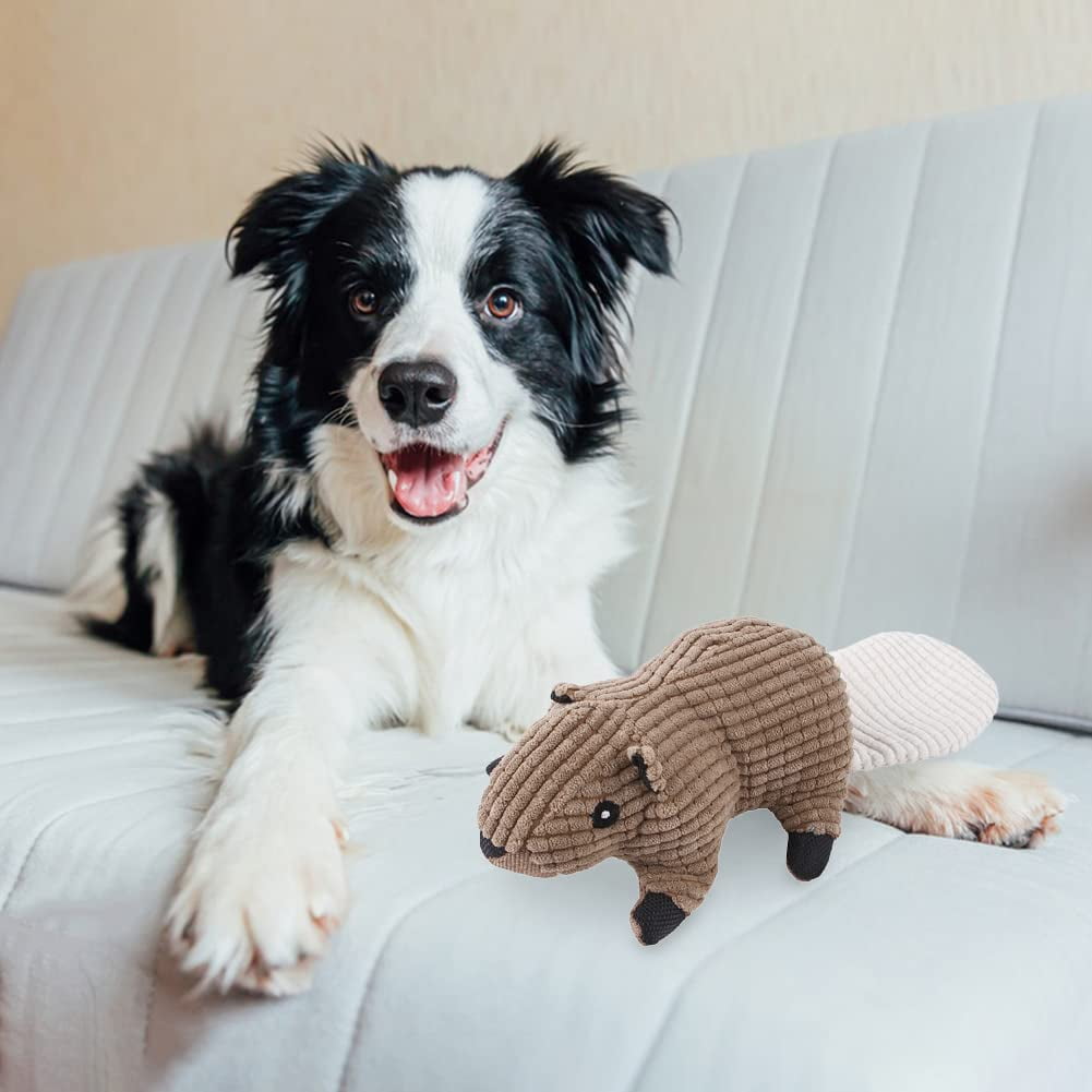 Pet Supplies : Dog Diggin Designs Runway Pup Collection  Unique Squeaky  Parody Plush Dog Toys – Prêt-à-Porter Dog Bones, Balls & More 