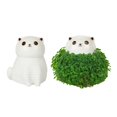 thumbnail image 2 of Gift Republic Cat Shaped Chia Planter- Desktop Sprouting Growing Pet - Cute Kitten Planter- Fun Grow Kit Gift Idea, 2 of 9