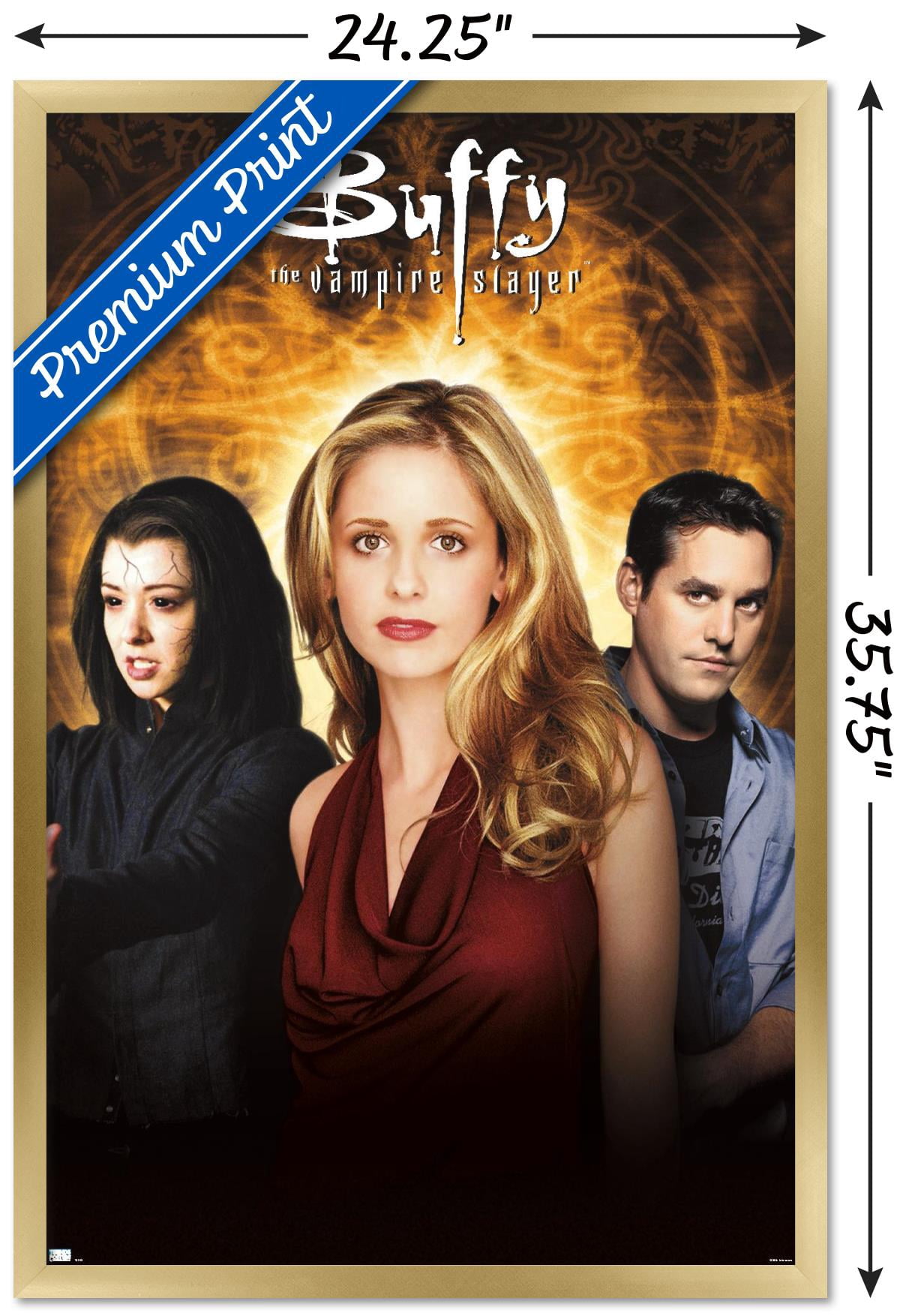 Buffy the Vampire Slayer - Season 6 One Sheet Wall Poster, 22.375" x 34", Framed