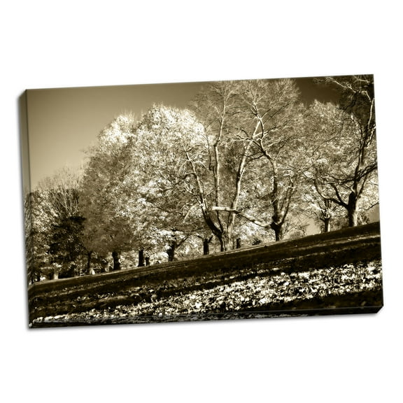 Gango Home Decor Falling Leaves by Alan Hausenflock (Ready to Hang); One 36x24in Hand-Stretched Canvas