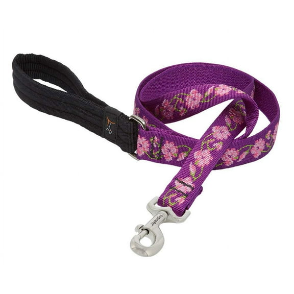 LupinePet Originals 1" Rose Garden 4-Foot Padded Handle Leash for Medium and Larger Dogs