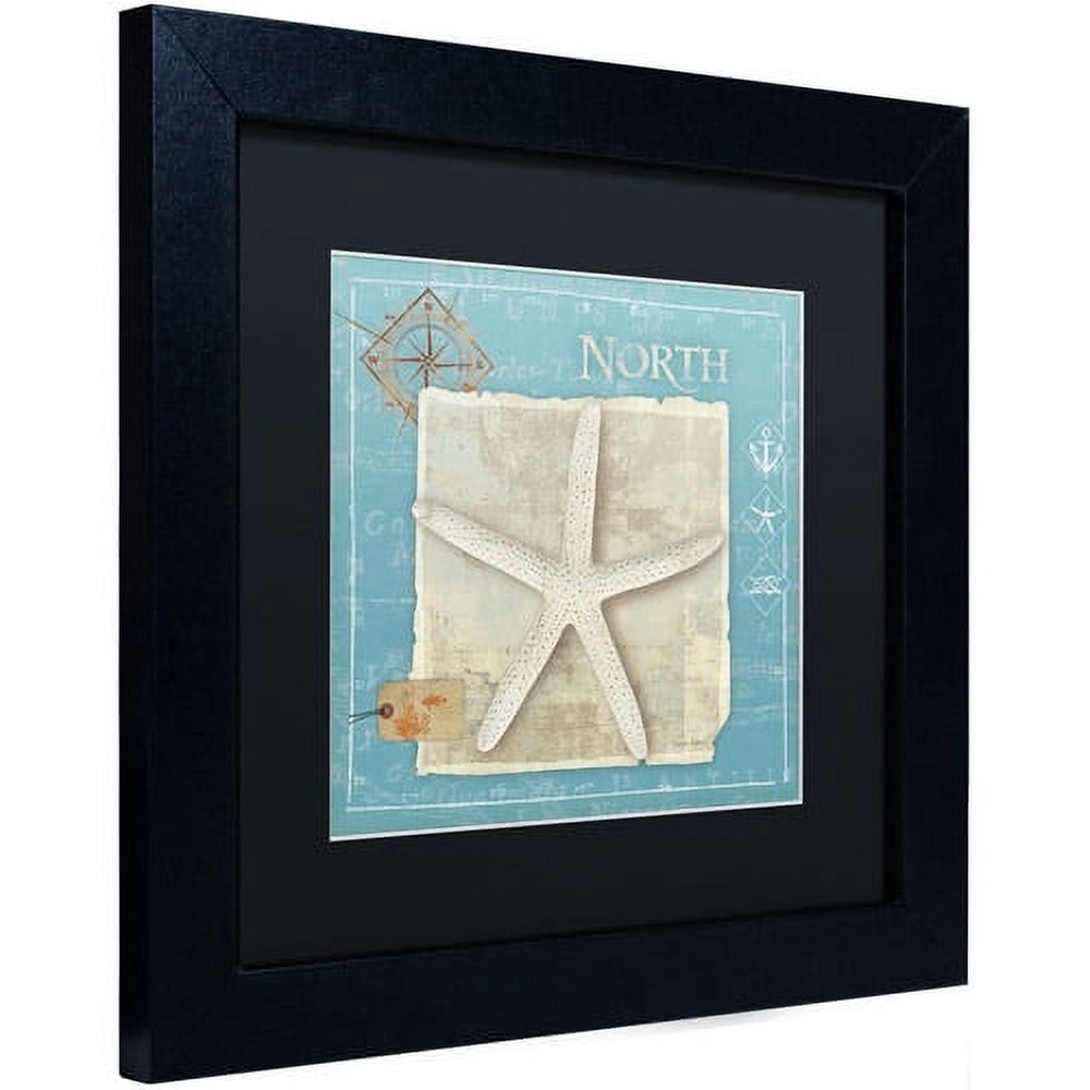 Trademark Fine Art "Points North" Canvas Art by Belinda Aldrich, Black Matte, Black Frame