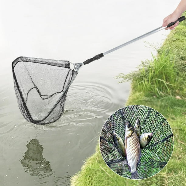 Canne en aluminium pour épuisette de pêche pliante portable pour les  amateurs