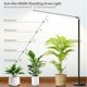 thumbnail image 5 of Lámpara de pie para plantas de interior, luz de crecimiento LED de espectro completo con temporizador de 4/8/12 H, luz regulable con soporte, 5 of 7