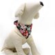thumbnail image 2 of Greeniant Ajustable Mascota Perro Cachorro Gato Cuello Bufanda Bandana Collar Pañuelo Accesorios Suministros para perros negro L, 2 of 8