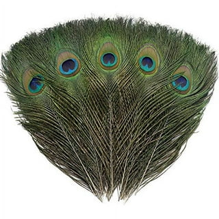 Fuzzy Stick Peacock Feather - Craft Project Ideas