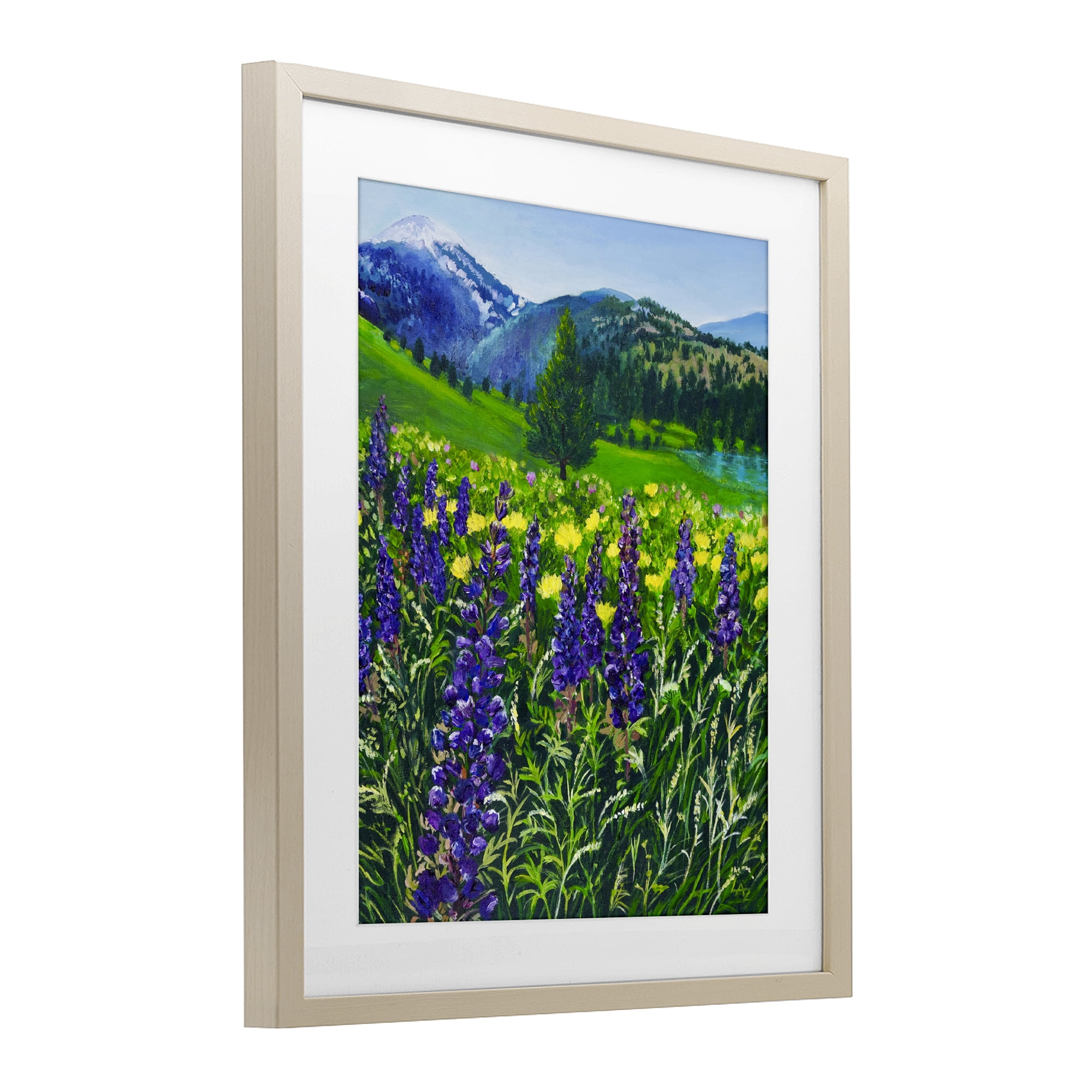 Stupell Industries Flower Speckled Valley Birch Framed Print Under Glass, design by Lee Ann Zirbes