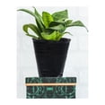 thumbnail image 2 of 500Pcs Practical Plant Nursery Pots Useful Gardening Pot Planting Containers, 2 of 8