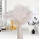 thumbnail image 5 of 10 plumas de avestruz esponjosas para fiestas de bodas, plumas de 15 a 30 cm (blanco), 5 of 5