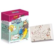 AE Cage Company Popcorn Infused Bird Mineral Block Large 1 count Pack of 2