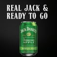 thumbnail image 6 of Jack Daniel's Tennessee Apple Fizz Ready to Drink Whiskey Cocktail, 12 Oz Can, 4 Pack, 6 of 8