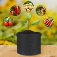 thumbnail image 3 of Pebbuoy 5Pcs Plant Grow Bag Multi-Purpose Breathable Garden Planting Bag for Vegetables Flowers Herbs Plants, 3 of 6