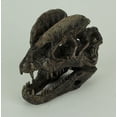thumbnail image 2 of Dilophosaurus Dinosaur Head Fossil Statue Small, 2 of 4