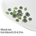 thumbnail image 3 of Rose Flower Nails Art Charms Steel Beads 3D Flower Leaves Nail Charms Resin DIY Nails Art Decoration for Women Girls, 3 of 21