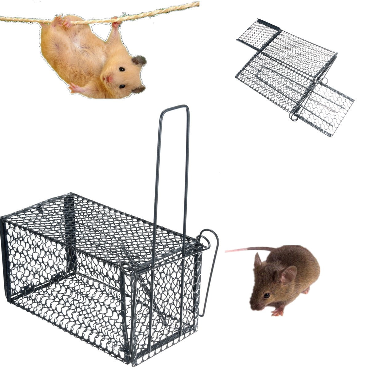 New Humane Live Catcher Rat Vermin Rodent Cage Traps Pest Metal Mouse Trapper