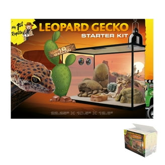 Zoo Med Laboratories Crested Gecko Kit, 12x12x18 in. Naturalistic