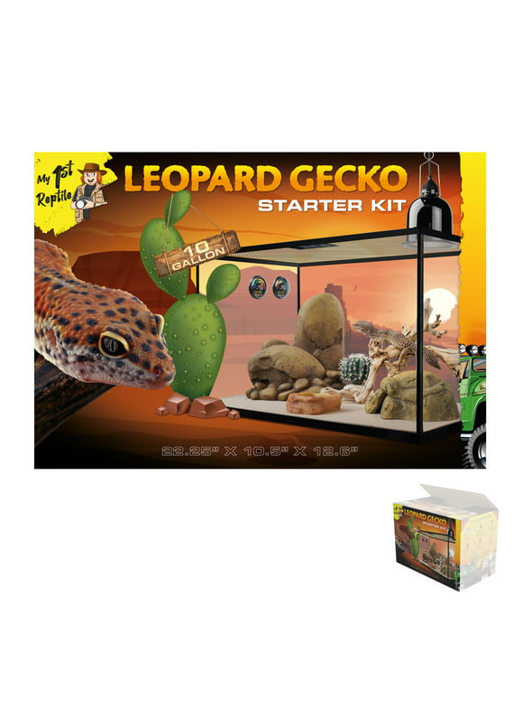 Leopard Gecko Reptile Starter Kit