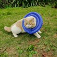 thumbnail image 2 of Water-Resistant Dogs Cats Pet E-Collar Recovery Remedy Comfy Cone Protective Comfortable Adjustable Postoperative Large Small, 2 of 7