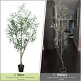 thumbnail image 2 of OLIVIVI Artificial Olive Tree 7FT Tall Faux Silk Plant for Home Office Decor Indoor Outdoor Fake Lifelike Potted Plant with Wood Branches 1 pack, 2 of 12