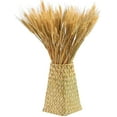 thumbnail image 4 of AURORA TRADE 25 Stems 19.69 Inch Dried Wheat Sheaves, Natural Wheat Stalks Bundle Fall Arrangement for DIY Craft, Home Table, Wedding, Indoor, 4 of 8