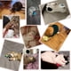 thumbnail image 3 of Juguetes de peluche de hierba gatera de 5 piezas, juguete de hierba gatera para protección dental, adecuado para juguetes de gatos de interior, 3 of 5