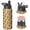 Black-1, variant on Leopard Print Insulated Stainless Steel Water Bottle with Straw & Cleaning Brush – 18 Oz | Leakproof, BPA-Free, 304 Stainless Steel, Wide Mouth, Travel Mug for Car, Gym, Office