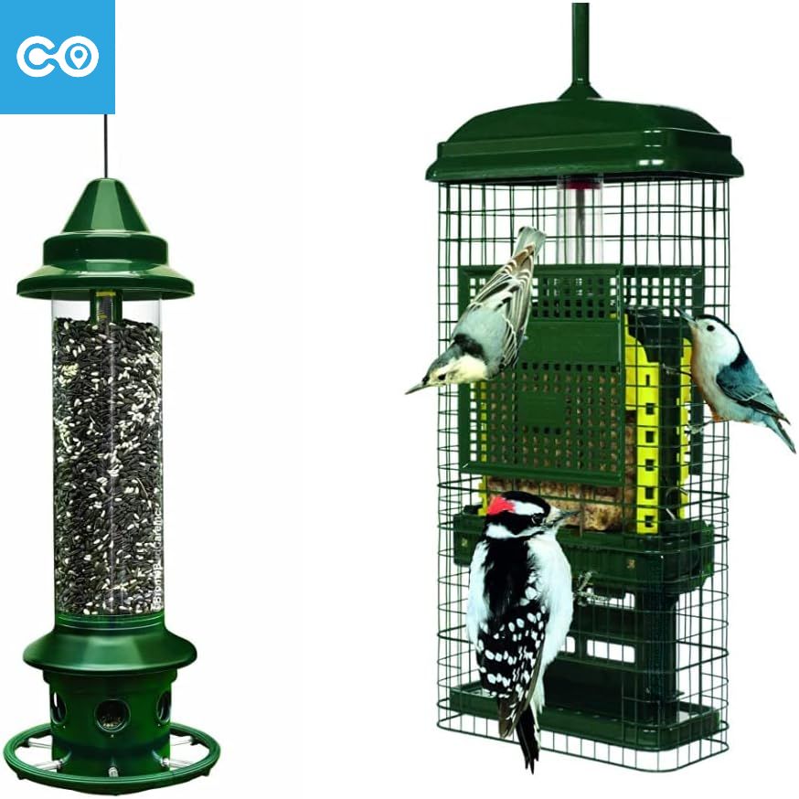 Squirrel Buster Plus SquirrelProof Bird Feeder Green & Squirrel Buster Suet SquirrelProof Suet