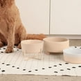 Waggo Uplift Ceramic Dog AIF4 Bowl for Small Medium and Large Breeds