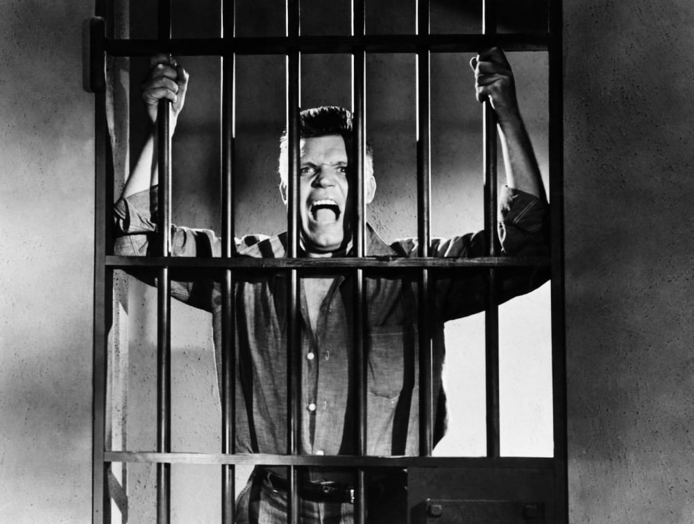 Riot In Cell Block 11 Canvas Art - (28 x 22)