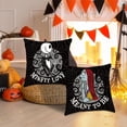 thumbnail image 5 of Nightmare Christmas Decorations, Set of 2 Nightmare Before Halloween Cushion Cases, 18x18 Halloween Throw Pillow Cover Decorations, Jack Sally Bed Couch Sofa Decor Party Supplies - Meant to be, 5 of 7