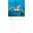 thumbnail image 2 of Pacifica Island Art, Hawaiian Sea Turtles 2025 Wall Calendar, 2 of 4